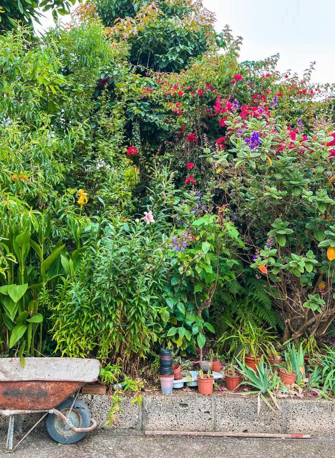 Apartment With Huge Deck Nestled In Marvelous Gardens - Nidos La Orotava Exterior photo