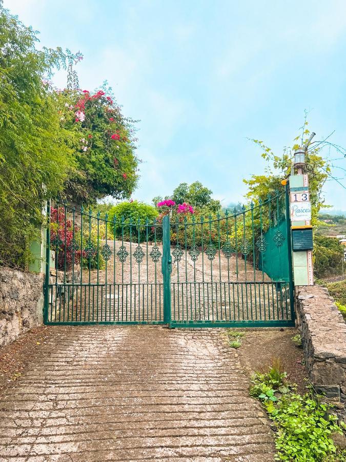 Apartment With Huge Deck Nestled In Marvelous Gardens - Nidos La Orotava Exterior photo