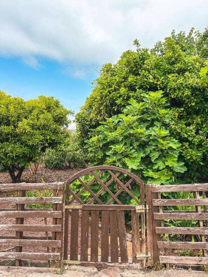 Apartment With Huge Deck Nestled In Marvelous Gardens - Nidos La Orotava Exterior photo